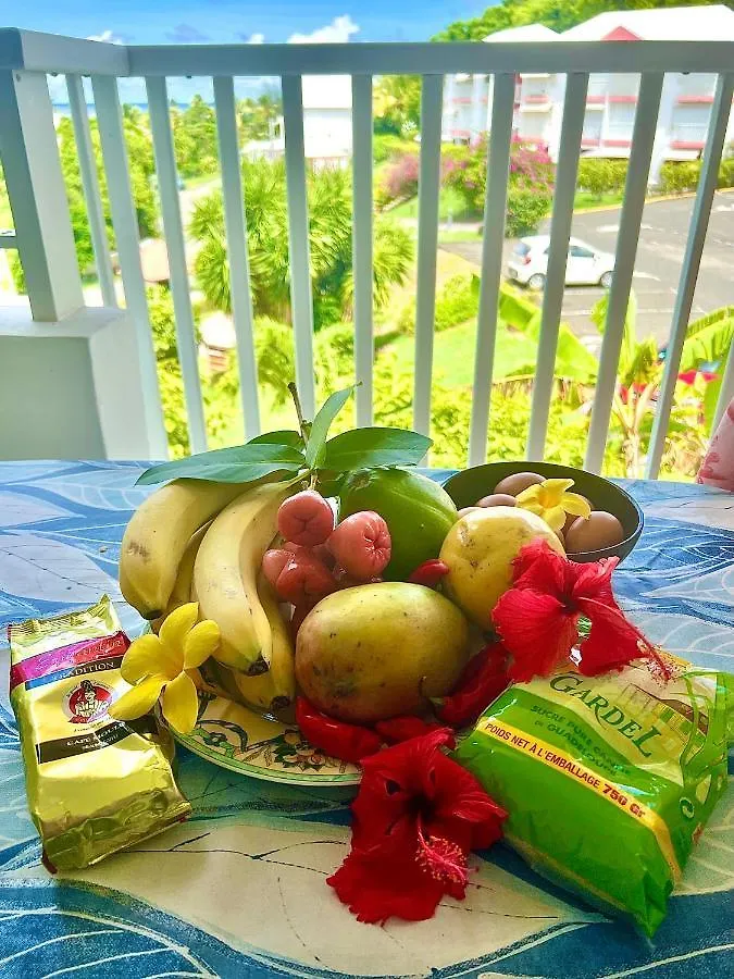 Apartment Le Studio 67 Vue Mer, Acces A La Plage Des Alizes Le Moule Guadeloupe