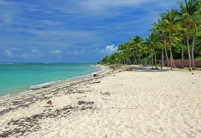 Apartment Le Studio 67 Vue Mer, Acces A La Plage Des Alizes Le Moule